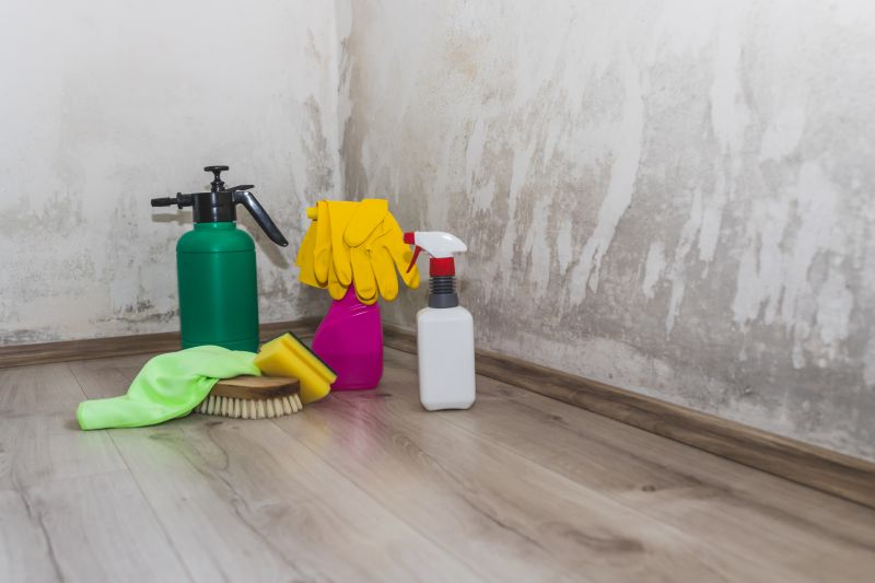 Mold Treatment Service in Fort Worth, TX
