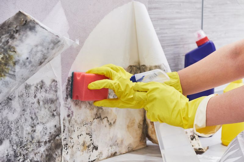 Black Mold Remediation in Frisco, TX
