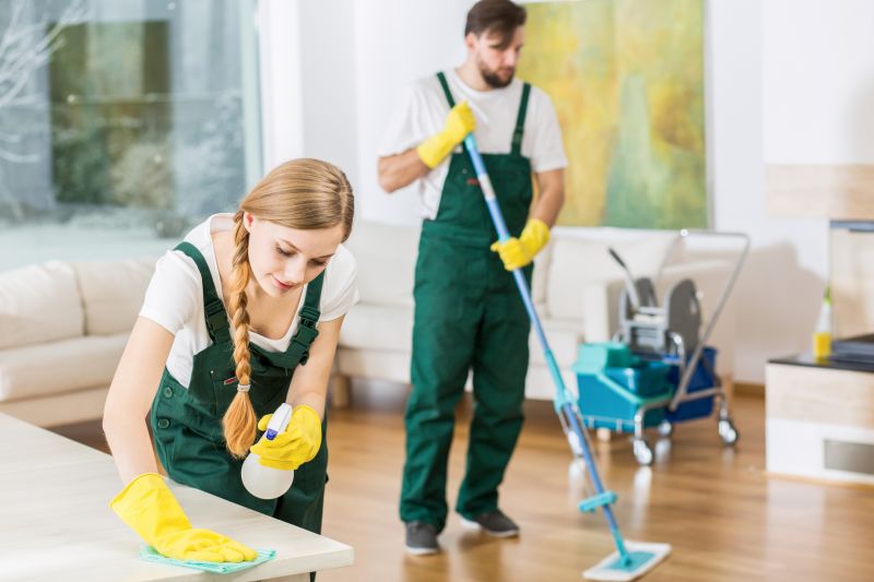 Condo Cleaning in Redmond, WA