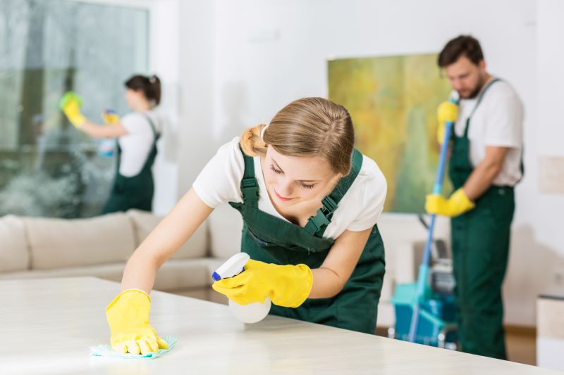 Kitchen Cleaning in Conroe, TX