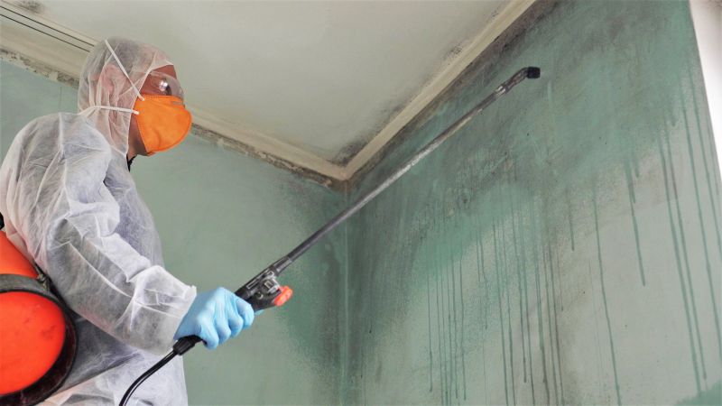 Mold Remediation Service in Essex County, NJ