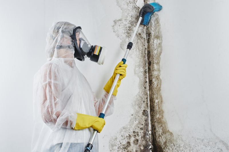 Mold Removal in West Palm Beach, FL