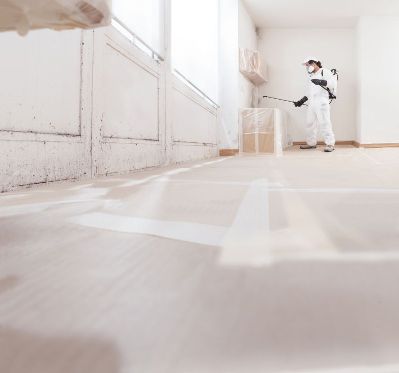 Mold Treatment Service in Bergen County, NJ