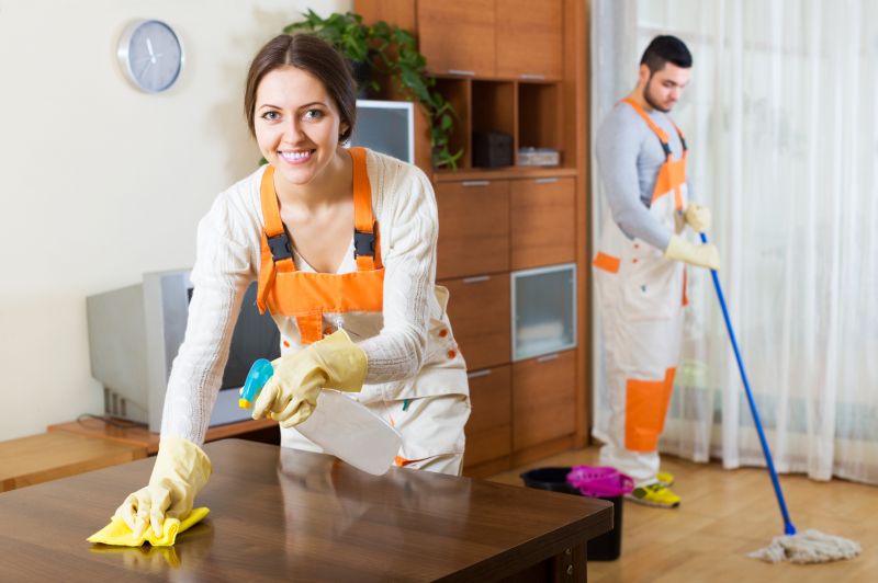 Reo Property Cleaning in Bellevue, WA
