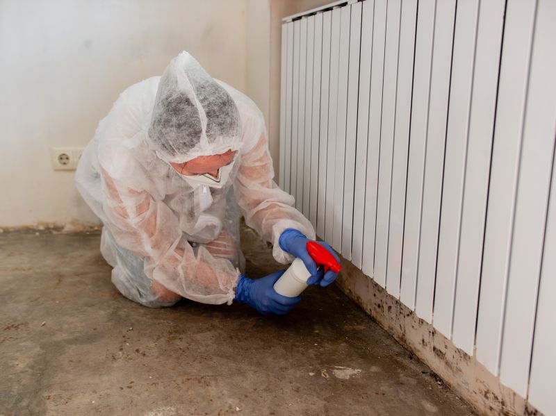 White Mold Mitigation in Fort Lauderdale, FL